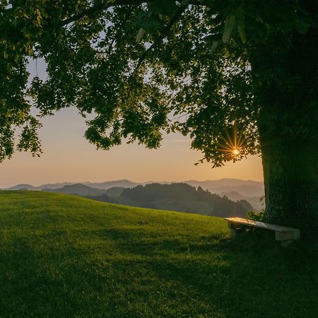 Vegan Health Hotel Sonnenberg Glutenfrei Schwellbrunn Екстериор снимка